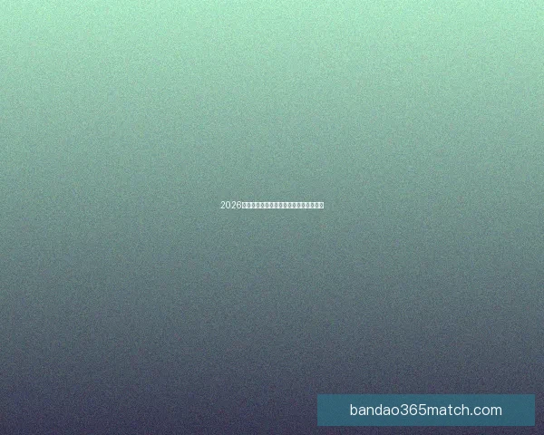 2026世界杯投注网站推荐与分析最新动态详解