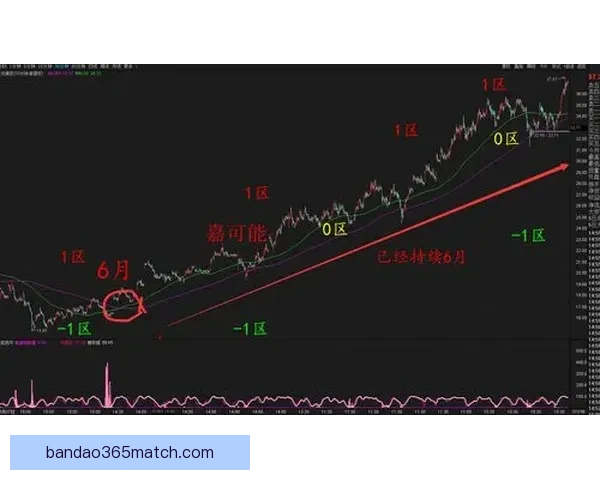 世界杯竞猜游戏高手必读全面解析投注技巧与稳健盈利实战指南